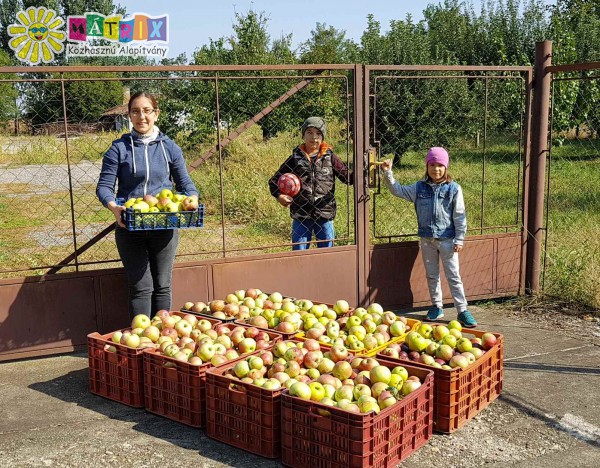 Almát szedtünk, kiosztottuk családosoknak